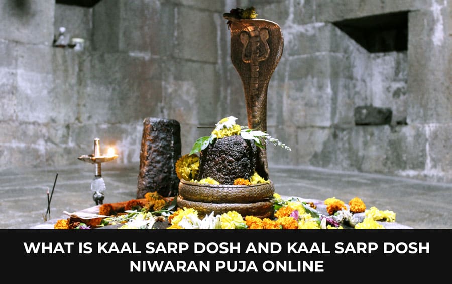 What is Kaal Sarp Dosh and Kaal Sarp Dosh Niwaran Puja Online